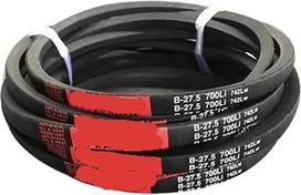 2 vnt. B3400, B3404, B3423, B3450, B3454, B3455, B3480, B3500, B3505, B3550, B3556, B3600, B3607, B3650, B3658 Li B tipo V formos diržai (B3650)