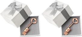 32GB metalinis USB 2.0 atmintukas, kompiuterio atmintukas, išorinė atmintinė, romantiška dovana, USB atmintukai, dovana baigimo šventei (1 vnt. su dovanų dėžute) (2 vnt. rinkinys)