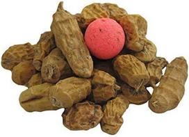 Afrikos XXL tigrai Apie 10 - 40 mm 1 kg tigrinių riešutų