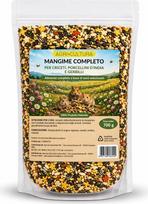 AGRI-CULTURA® | Pilnavertis pašaras žiurkėnams, jūriniams kiaulytėms ir smiltpelėms 【700 g】| Atrinktų natūralių sėklų mišinys | Subalansuota mityba, turtinga ląsteliena ir maistinėmis medžiagomis |