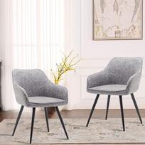 annjoe Faux Suede akcentas kėdė Svetainės kėdė Laisvalaikio kėdė Minkšta kėdė su metalinėmis kojomis 2 komplektas namų virtuvės biurui Bistro kavinė