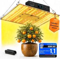 Auginimo lempa [100 W su klimato jutikliu – „Grow LED“] Auginimo lempa, visų spektro LED auginimo lempa, augalų lempa, visų spektro, su laikmačiu ir šviesos reguliatoriumi, „Rogue Grower“