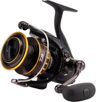 Daiwa Meeresrolle BG