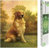 Deimantinė tapyba Kvadratinis grąžtas 40 x 50 cm Deimantinė tapyba Paveikslėliai Šuo Deimantinė tapyba Šunys Labradoras "pasidaryk pats" 5D tapyba pagal numerius Šunys Amatas Buddy Crystal Art Namų sienų dekoras Siuvinėjimas Paveikslėliai Kryžius
