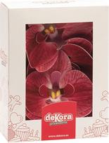 dekora - Orchidėja - valgomoji torto puošmena | 10 valgomųjų gėlių vafliniam tortui - Bordo - 7,5 - 8,5 cm