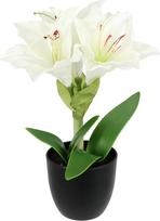 Dirbtinė amarilis vazonėlyje, 28 cm, gėlė, Kalėdų gėlė, šilkinė gėlė, Kalėdų dekoracija, žiemos gėlė, floristinis kompozicija, kompozicija vazonėlyje, augalai, Kalėdos, dirbtinės gėlės, dirbtiniai augalai