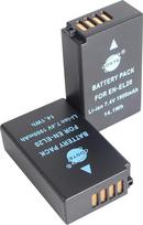 DSTE EN-EL20 ENEL20A 1900 mAh/7,4 V baterija, suderinama su Nikon Coolpix P1000, 1 J2, 1 J3, 1 S1, 1 V3, 1 AW1, 2 pakuotės