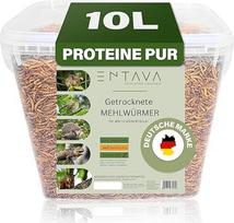 Džiovinti miltiniai sliekai Premium Quality Insect Snack Paukščiai, žuvys, Koi, vėžliai, graužikai, ropliai, paukščių maistas, laukiniai paukščiai, ežių maistas