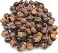 Džiovintos sveikos guaranos sėklos, 40 g – 1,95 kg „Paullinia Cupana“ (460 g)