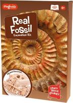 Geologijos ir fosilijų kasinėjimo rinkinys