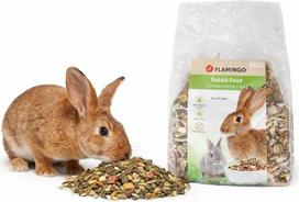Hamsterių pašaras – Šienas – Triušių pašaras – 1 kg – Natūralus užkandis – graužikams visais gyvenimo etapais