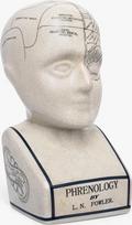Įvairios kolekcijos. Frenologijos galva – keraminis dekoratyvinis retro biustas kolekcionieriams – glazūruotas paviršius – akį traukiantis – gydytojo stalas – LN Fowler – „Brain Senses“, 28 cm