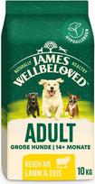 James WELLBELOVED 10 kg sausas ėrienos ir ryžių ėdalas dideliems šunims