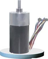 JGB37-3650 12 V 24 bešepetis nuolatinės srovės variklis, metalinė reduktorinė pavara, PWM sūkių reguliavimas (60R-24V)