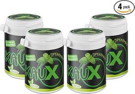 kauX Xylitol Dental Care kramtomoji guma be aspartamo, 4 vnt., Spearmint (60 g = 40 vnt. skardinėje)