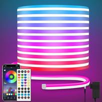 LED neoninių žibintų juosta 10 m, DC 24 V RGB neoninių LED šviesos juosta Nuotolinio valdymo programėlė Vandeniui atsparus lankstus neoninių LED juostų apšvietimas miegamajam, kambariui, lauko dekorui