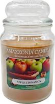 obuolių cinamono žvakė 530 g natūralaus sojų vaško kvapiosios žvakės Dvigubas medvilninis oro gaiviklis kambario dekorui "Apple Cinnamon Jar