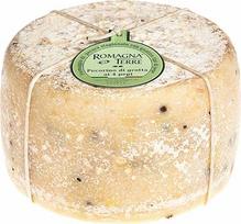 Pecorino Grotta Ai 4 Pepe Avies pieno sūris, brandintas urve su 4 pipirų rūšimis, brandintas 100 dienų