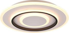 Reality Leuchten Jora R64303131 LED lubų šviestuvas Metalinis matinis baltas plastikas su 46 W LED nuotolinio valdymo pulteliu