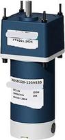Reduktoriaus variklis DC 120 W, didelis sukimo momentas, 12 V/24 V, reguliuojamas greitis, išėjimo velenas mm, apsisukimų per valandą skaičius / priešpriešinis sukimasis (tik modelis 105RPM-12VOUT SHAFT12)