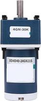 Reduktoriaus variklis 40 W, 12 V/24 V, mažas mažos greičio variklis, važiavimas į priekį ir atgal su reguliuojamu greičiu (24 V, 100 aps/min)