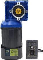 Reduktorius, RV30 250 W 220 kintamosios srovės sraigtinis variklis su greičio reduktoriumi, greičio reguliatoriumi, varikliu su sukimo momentu (0-67 aps/min 220 V)