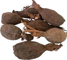 RMY Visa Maniguette, Čili Gvinėja (Paradise Seeds) Aligatoriaus pipirai arba Aligatoriaus pipirai - pakuotė po 6 vnt.