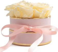 Rosmarie Schulz „Heidelberg Rose Box“, balta apvali „Infinity Rose“, gėlių dėžutė su konservuotomis rožėmis