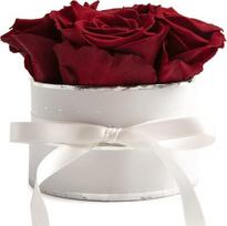 Rosmarie Schulz „Heidelberg Rose Box“, balta apvali „Infinity Rose“, gėlių dėžutė su konservuotomis rožėmis