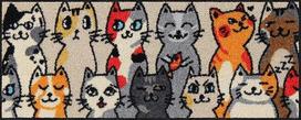 Salonloewe Schuhparkplatz Kitty People 030 x 075 cm Kilimėlis Clean Mat Lauko durų kilimėlis Indoor Dirt Trapper Outdoor