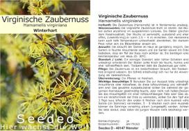 Seedeo® HAMAMELIS VIRGINIANA – 30 SĖKLŲ