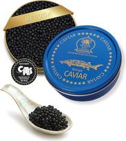 SEPEHR DAD CAVIAR Originalus „Beluga“ ikras, 50 g, ypač stambūs grūdai (3,2–3,4 mm), „Beluga“ ikras iš tvarios akvakultūros, švelnus ir subtiliai kreminis, išskirtinis eršketų ikras, pagamintas iš 100 % Huso Huso eršketų ikrų