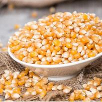 Soleilfood Popcorn kukurūzai 2 kg kukurūzų grūdų Popcorn, kad galėtumėte pasigaminti geriausios kokybės kukurūzus