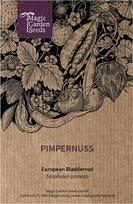 Staphylea pinnata – apie 10 sėklų