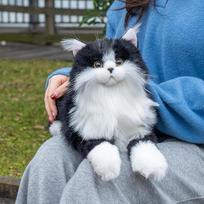 Sunkus pliušinis žaislas – tikroviška 1,5 kg sverianti pliušinė katė su minkštu, ilgu kailiu, puikiai tinkanti glėbesčiuoti. Raminantis draugas vaikams, suaugusiems ir pagyvenusiems žmonėms – juoda katė