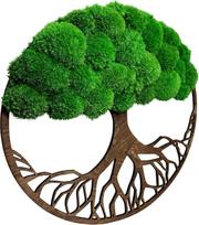 Sveiki samanos Sienų apdaila Samanų paveikslėliai 40 cm medžio formos Gražiai atrodanti siena Medis Sienų paveikslėlis pagamintas iš natūralių žaliavų ir dekoratyvinių samanų