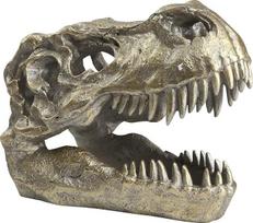 T-rex kaukolės trofėjus, dinozauro galvos trofėjus, meninis taksidermijos kūrinys, tiranozauro rexo galvos skulptūra, fosilijos figūrėlė, namų, darbo stalo ar „vyriškos erdvės“ dekoracija, 19 cm ilgio