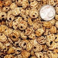 Tigriniai riešutai 1 kg nuluptų nuluptų baltųjų tigrinių riešutų