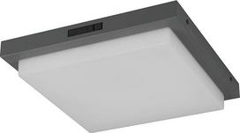 Trio Leuchten Bermejo 630369242 LED lauko namo numerio lemputė Lieto aliuminio antracito plastiko baltos spalvos, 14 W LED, judesio jutiklis, reguliuojama šviesos spalva