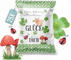 Vaisių kramtomosios gumos maišeliai Sėkmės saldainiai Lucky Charm Gummy Bears Pakuotė iš 25: maža dovana egzaminui, išleistuvėms, Naujiesiems metams, 7 x 9 cm