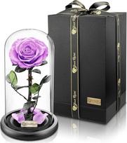 YourRoses Tikra aukščiausios kokybės rožė stiklinėje dėžutėje su gražia dovanų dėžute, ilgaamžė ir elegantiška dovana kaip meilės ženklas, dovana iš širdies