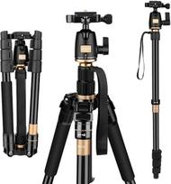 „AFAITH“ profesionalus nešiojamas fotoaparato trikojis ir monopodas iš magnio ir aliuminio lydinio su rutuline galvute, skirtas DSLR ir SLR fotoaparatams „Canon“, „Nikon“, „Pentax“ ir „Sony“ – trikojis Q-555
