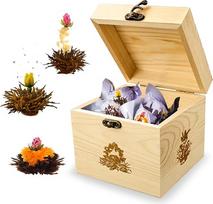„Creano“ medinė dekoratyvinė dėžutė „Abloom“, 6 dalių dovanų rinkinys „Black Tea“, 11,5 cm, medis, ruda, 11,5 x 11,5 x 11,5 cm