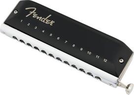 „Fender Groove Pro“ chromatinė 12-angė armonika C tonacijoje | Komplekte: dėklas, fosforbronzinės plokštelės, 48 natų serija, tinka tiek pradedantiesiems, tiek profesionalams, suaugusiems, sodrus skambesys, chromatinė C tonacija