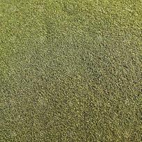 „GardenersDream“ aukščiausios kokybės spirulinos dumblių granulės – visavertis akvariumo žuvų pašaras