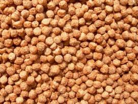 „Koi Color“ granulės su astaksantinu, 2 mm, 6000 ml, žuvų pašaras, tvenkinio žuvims skirtas pašaras