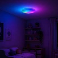 „Lightbox Basic“ LED sieninis ir lubinis šviestuvas | Skersmuo 49 cm | Funkcionalus lubinis šviestuvas su skaitmeniniu LED priekiniu apšvietimu IC RGB ir CCT (3000–6500 K) bei nuotolinio valdymo pultu | 4500 lm | Pagamintas iš aliuminio ir plastiko | in