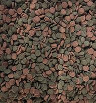 „Miniwafers Mix“ – 6 % spirulinos ir astaksantino – nugrimzdančios plokštelės akvariumo dugno gyventojams ir žolėdžiams – subalansuotas maistas dekoratyviniams žuvims ir bestuburiams (100 g)