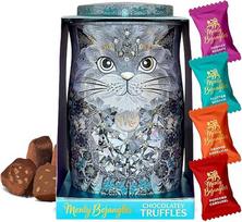 „Monty Bojangles“ „Diamond Empress“ triufelių šokoladų dėžutė (200 g), 4 prabangūs šokoladai su kakava: „Choccy Scoffy“, „Orange Angelical“, „Flutter Scotch“ ir „Popcorn Carousel“, prabangus pralinės rinkinys