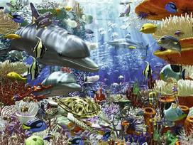 „Oceanic Wonders“ 3000 dalių dėlionė